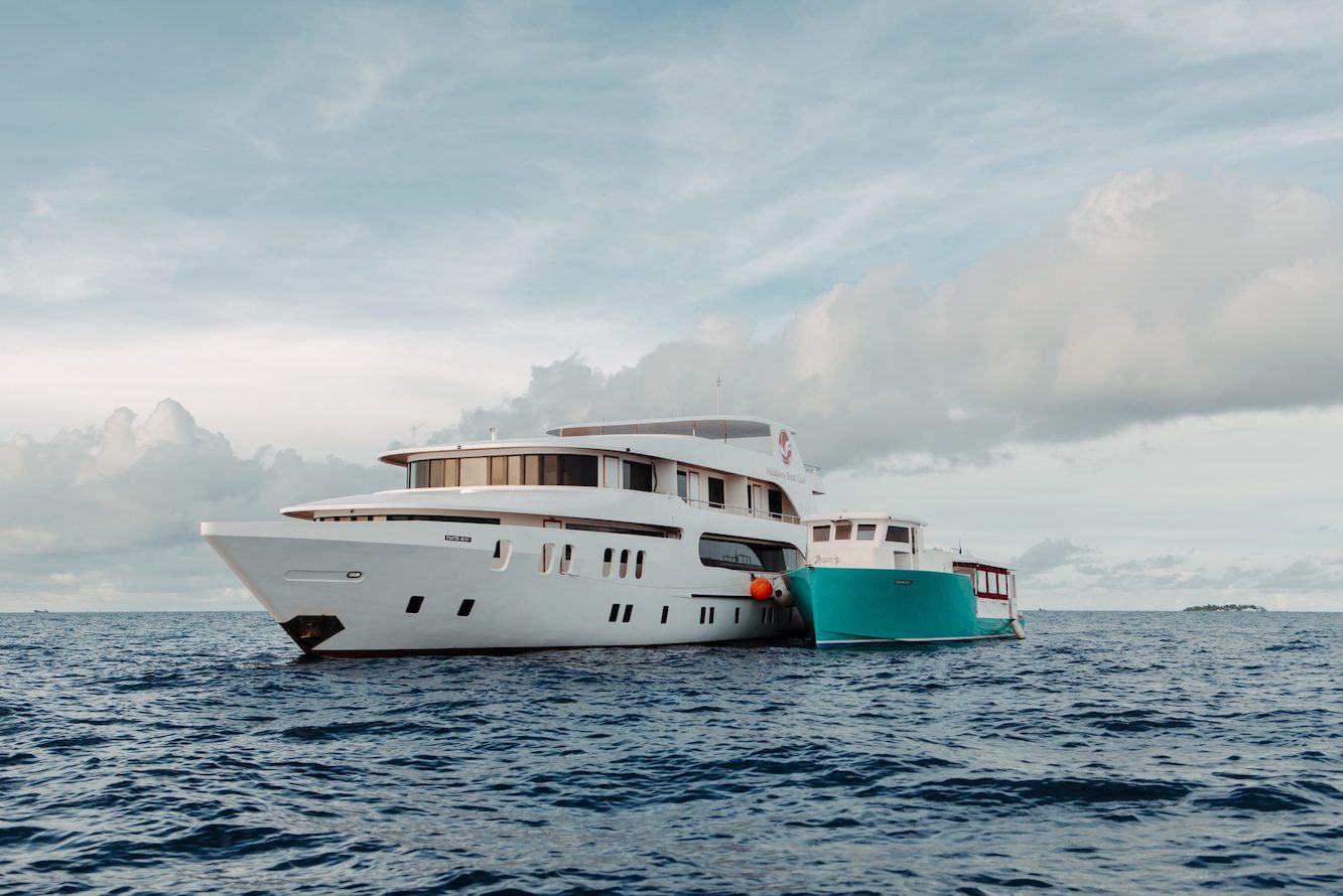 Adora Liveaboard Special: Get 15% Off