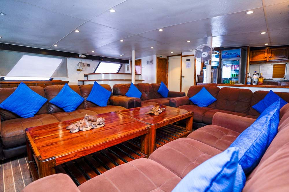 Solomon Master Saloon