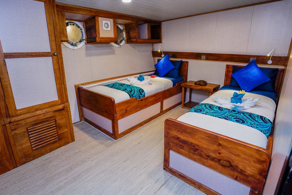 Solomon Master Premium Twin or Double