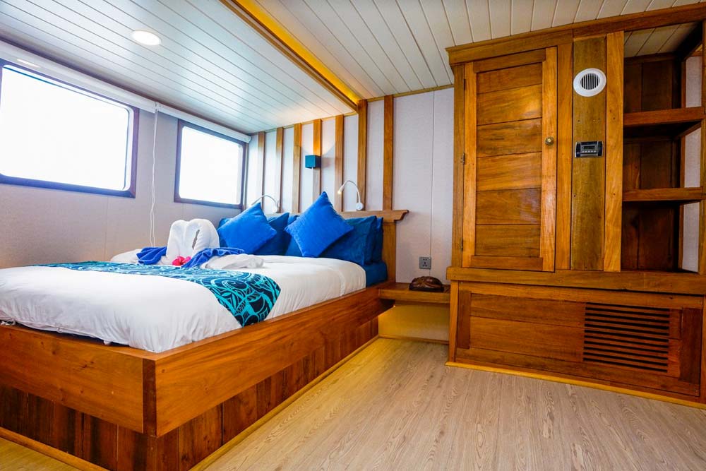 Solomon Master Superior Double